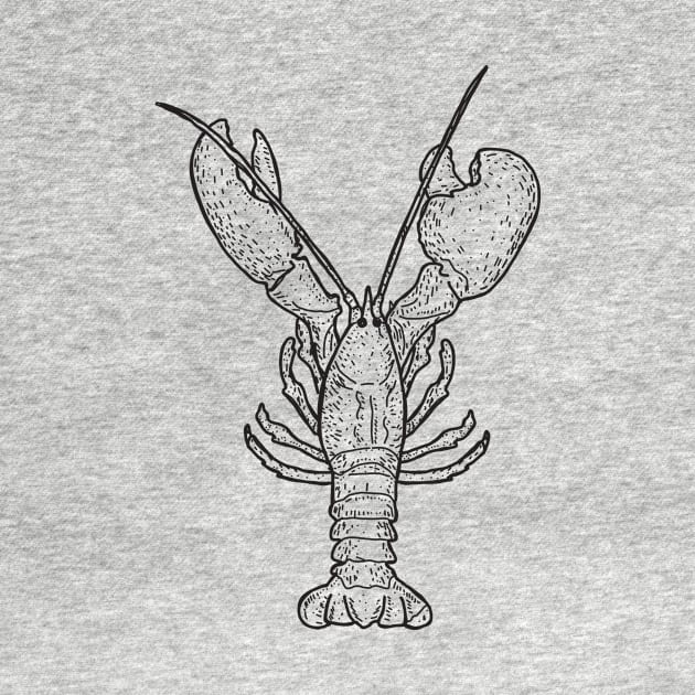 Lobster illustration by JDawnInk